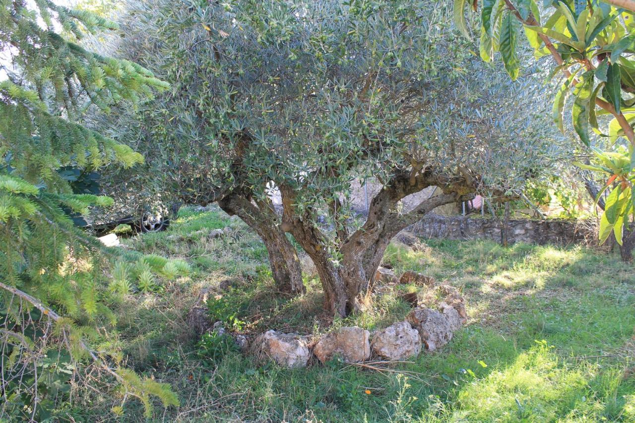 Casa Rural Baobab Romancos Extérieur photo