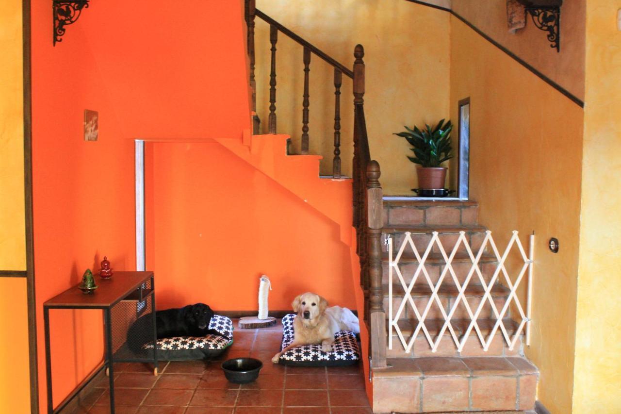 Casa Rural Baobab Romancos Extérieur photo